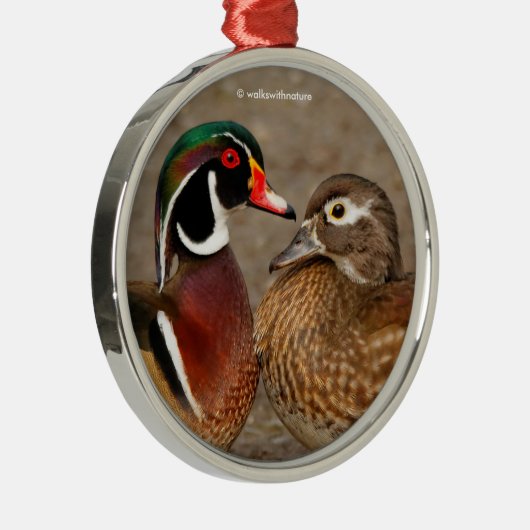 木のアヒルの間の美しい触れる瞬間 メタルオーナメント (右)