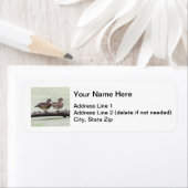 木のアヒル ラベル (インサイチュ)