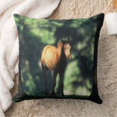 木のアラビアの子馬 クッション (ブランケット)