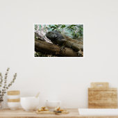 木のイグアナ ポスター (キッチン)