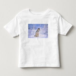 木のオオカミが雪の中に座っていると、カニスループス。 トドラーTシャツ
