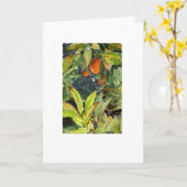 木のオレンジは高められた余分に乾燥した書きます カード (黄色い花)