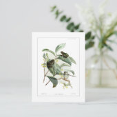 木のカエル ポストカード (スタンド正面)