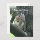 木のカスタマイズ可能な郵便はがきのリス ポストカード (正面/裏面)