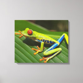 木のカラフルカエル キャンバスプリント