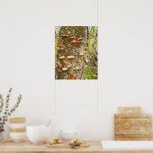 木のキノコ写真のポスター ポスター (キッチン)