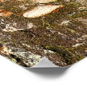 木のキノコ写真のポスター ポスター (角)