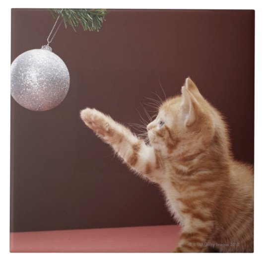 木のクリスマスのつまらないものと遊んでいる子ネコ タイル (正面)