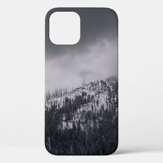 木のグレースケール写真 Case-Mate iPhoneケース (裏面)