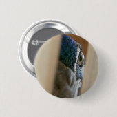 木のゲートのスラットを通した孔雀の目 缶バッジ (正面&裏面)