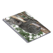 木のコアラ ノートブック (右側)