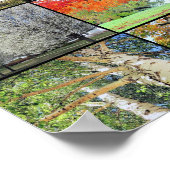 木のコラージュのポスター36 x 24 ポスター (角)