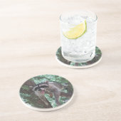 木のコースターのアライグマ コースター (側面)