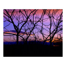 木のシルエットと素晴らしい紫の夕日