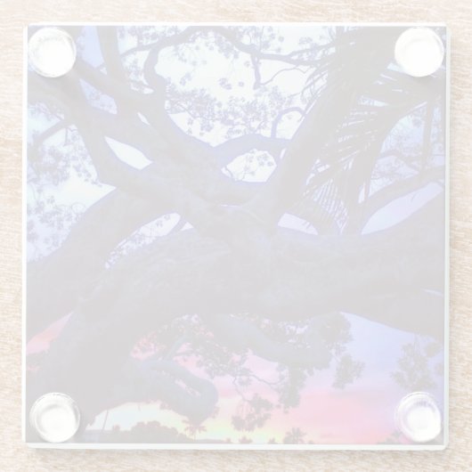 木のシルエット付き虹の夕日 ガラスコースター (裏面)