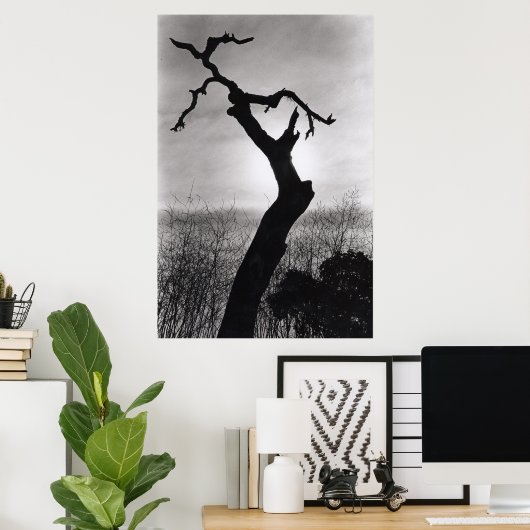 木のシロエット ポスター (ホームオフィス)