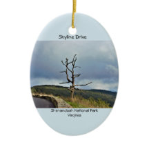 木のスカイラインドライブ