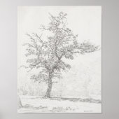 木のスケッチ。ヴィンテージ ポスター (正面)