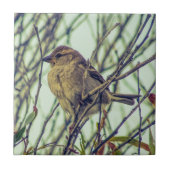 木のスズメ タイル (正面)