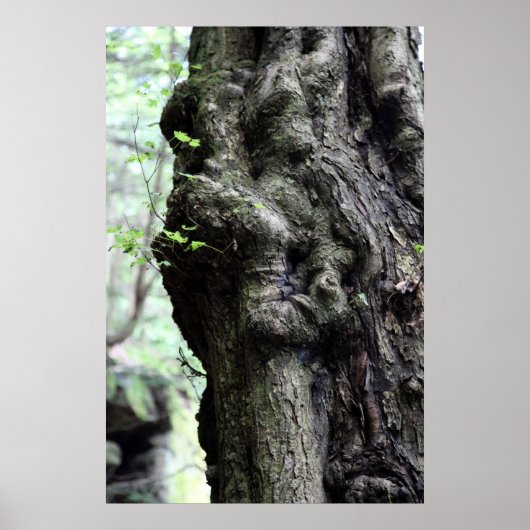 木のスプライト ポスター (正面)