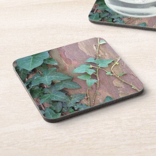 木のツタ コースター (左側)