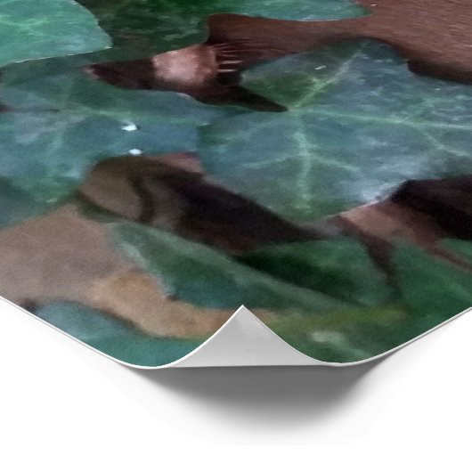 木のツタ ポスター (角)