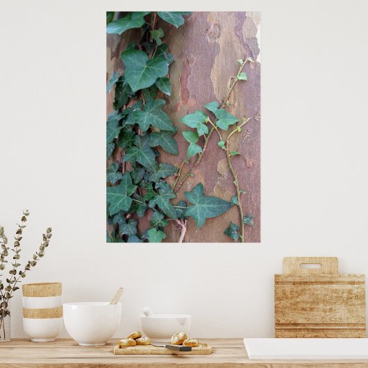 木のツタ ポスター (キッチン)