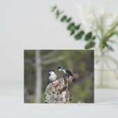 木のツバメ ポストカード (スタンド正面)