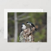 木のツバメ ポストカード (正面/裏面)