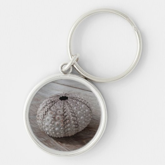木のテーブルの上の貝 キーホルダー (正面)