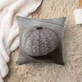 木のテーブルの上の貝 クッション (ブランケット)