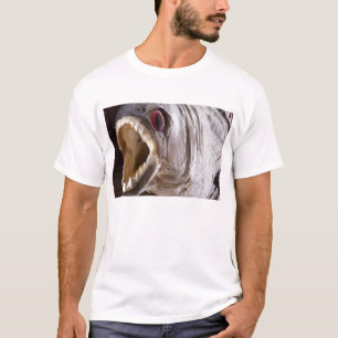 木のトロフィが隔離したようにピラニアの魚 Tシャツ