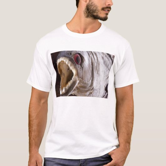 木のトロフィが隔離したようにピラニアの魚 Tシャツ (正面)