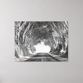 木のトンネルカウアイ写真白黒 キャンバスプリント (正面)