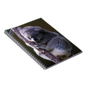 木のノートのコアラ ノートブック (右側)