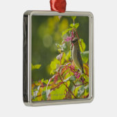 木のヒメレンジャクおよび袋の果実 メタルオーナメント (右)
