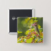 木のヒメレンジャクおよび袋の果実 缶バッジ (正面&裏面)