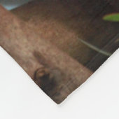 木のフリースブランケットに握っている愛らしいコアラ フリースブランケット (角)