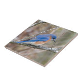 木のブルーバードの青い鳥 タイル (側面)