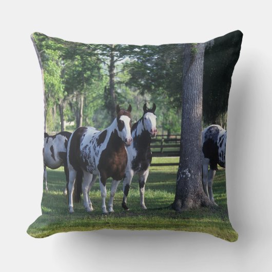 木のペンキの馬 クッション (正面)