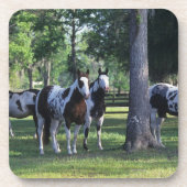 木のペンキの馬 コースター (正面)