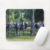 木のペンキの馬 マウスパッド (マウス)