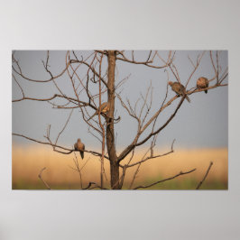 木のポスターに喪に服するハト ポスター