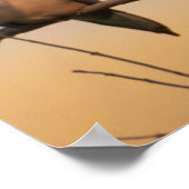 木のポスターに喪に服す鳩 ポスター (角)