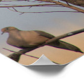 木のポスターに登場する鳥 ポスター (角)