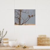 木のポスターに登場する鳥 ポスター (キッチン)