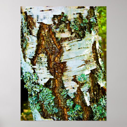 木のポスターのクローズアップ ポスター (正面)