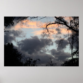 木のポスターを通して ポスター