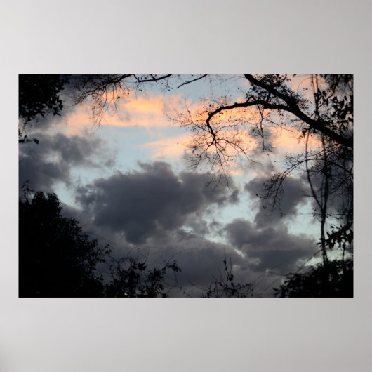 木のポスターを通して ポスター (正面)