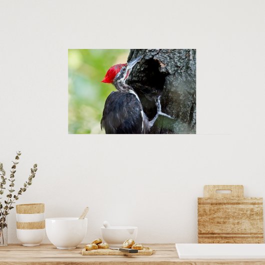 木のポスター上の雄の幼稚園のキツツキ ポスター (キッチン)